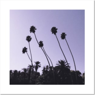 Los Angeles Palm Trees Posters and Art